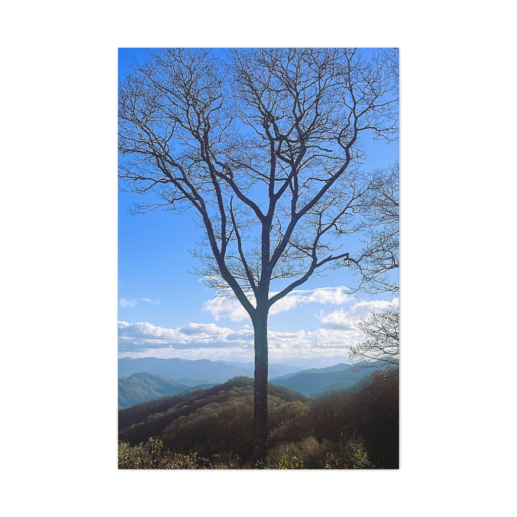 SOMETHING RESILENT | Tennessee Mountain View Bare Tree Silhouette Landscape Canvas