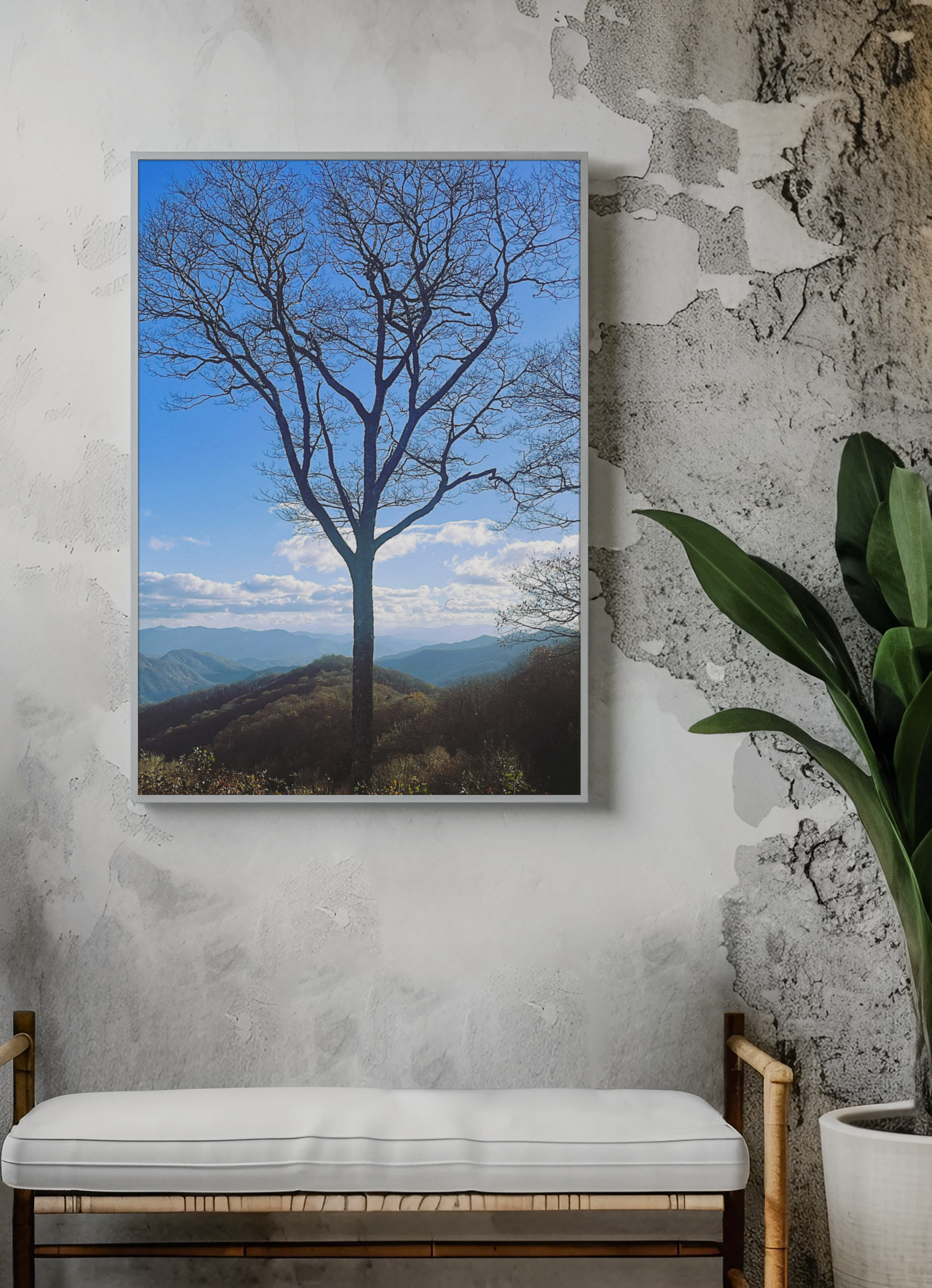 SOMETHING RESILENT | Tennessee Mountain View Bare Tree Silhouette Landscape Canvas