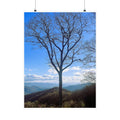 SOMETHING RESILENT | Tennessee Mountain View Bare Tree Silhouette Poster | Satin Poster
