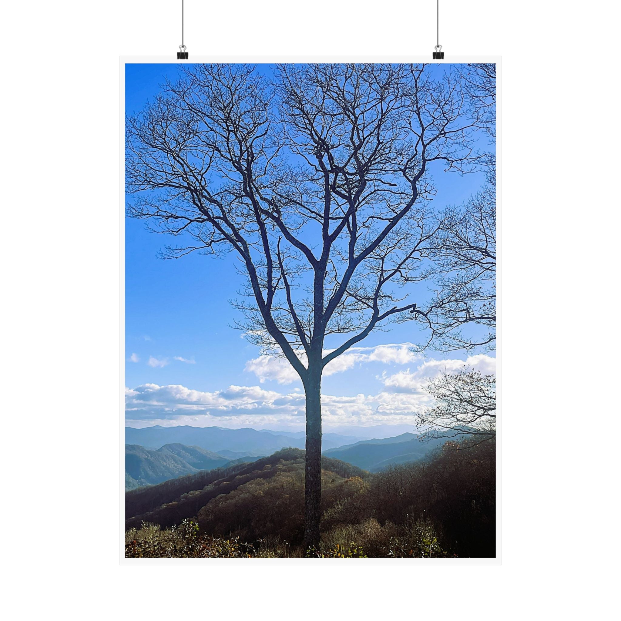 SOMETHING RESILENT | Tennessee Mountain View Bare Tree Silhouette Poster | Satin Poster