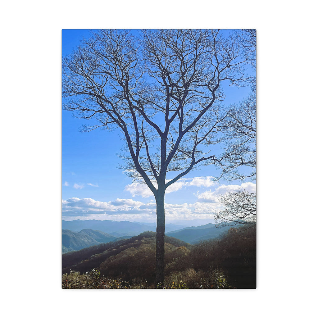 SOMETHING RESILENT | Tennessee Mountain View Bare Tree Silhouette Landscape Canvas