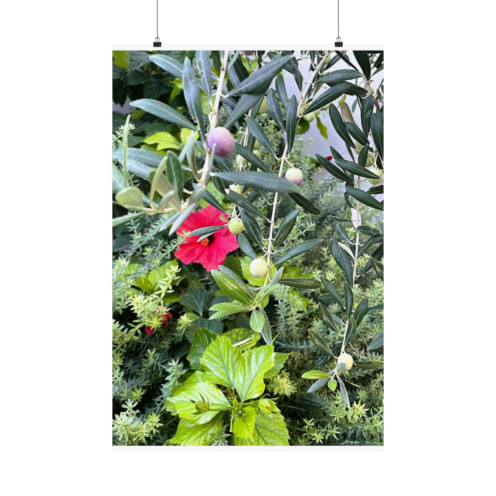 SOMETHING LUSH | Hibiscus and Red Grapes Poster Satin Poster
